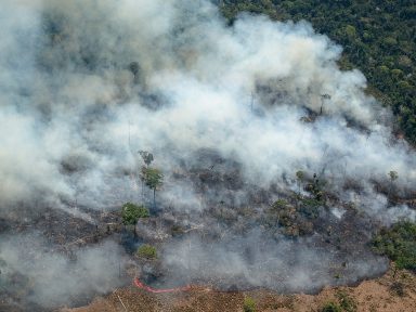 Em 10 meses, queimadas na Amazônia e no Pantanal já batem recordes