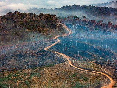 Amazônia perdeu área equivalente a dois Estados do Rio em 2020, mostra Inpe