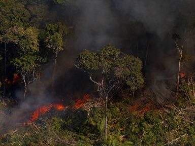 Política caótica de Bolsonaro tira o Brasil do encontro preparatório da Conferência do Clima