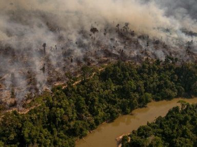 Coalizão Brasil Clima: meta apresentada por Bolsonaro vai na contramão de projeto global