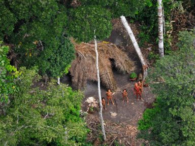 Cimi defende índios e repele Bolsonaro: “ele mente e quer botar fogo na Amazônia”