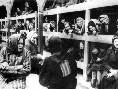 Holocausto, nazismo e negacionismo (II)