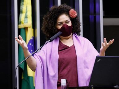 “A Câmara não pode ser um puxadinho do Palácio do Planalto”, diz Perpétua