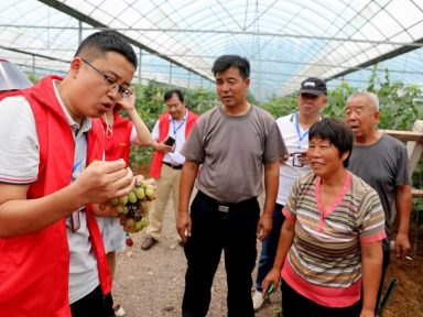 Chineses disseminam tecnologia agrícola para interiorizar desenvolvimento e elevar a produção