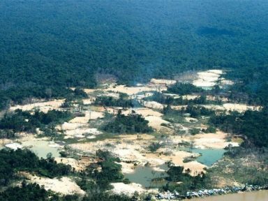 Governo de Roraima sanciona lei que libera garimpos ilegais e uso de mercúrio na mineração