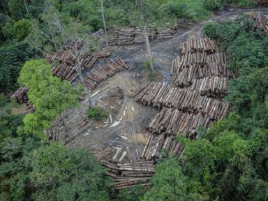 Governo Bolsonaro nega-se a integrar projeto de defesa do meio ambiente na ONU