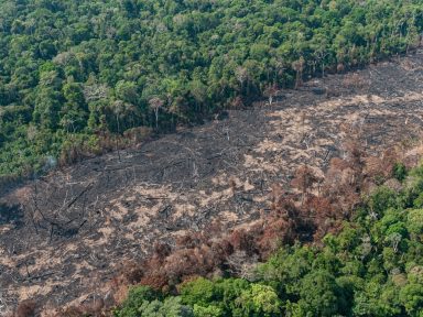 Desmatamento da Amazônia em março é o maior em 10 anos, aponta o Imazon