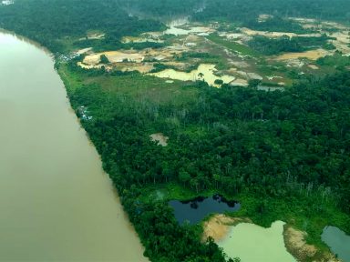 Yanomamis pedem socorro após ataques armados de garimpeiros