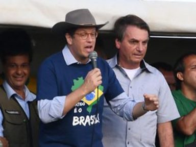 Investigado por contrabando de madeira, Salles é elogiado por Bolsonaro: “ministro excepcional”