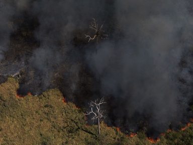Alertas de desmatamento na Amazônia batem novo recorde em abril: +1.013 km²