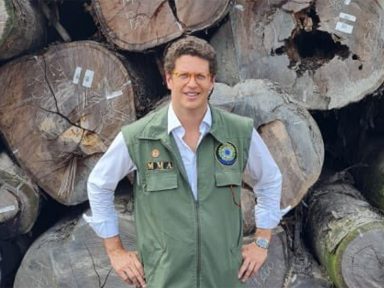 STF envia investigação contra Salles à Justiça do Pará; PF aponta “lavagem de madeira ilegal”