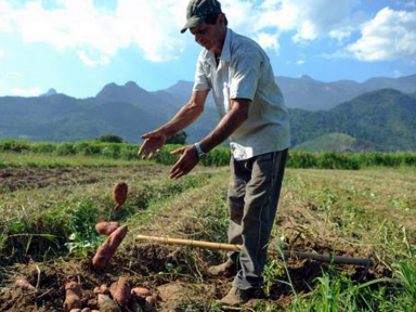 Justiça determina que Incra retome análise de reforma agrária travada pelo governo federal