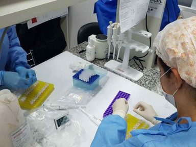 UFMG envia pedido à Anvisa para estudo da vacina SpiNTec