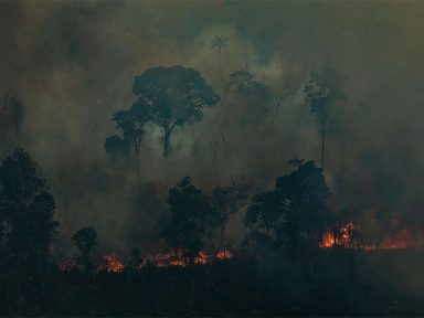Número de queimadas na Amazônia em junho é o maior dos últimos 14 anos