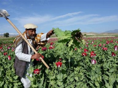 EUA deixa terra arrasada e talibã toma Kandahar e Herat