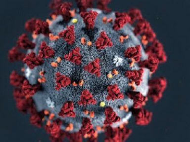 Carta ao British Medical Journal sobre a eficácia da CoronaVac no combate à pandemia