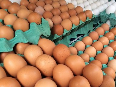 Povo já não consegue substituir carne por frango