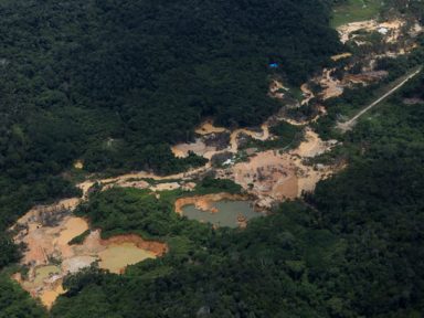 Desmatamento causado pelo garimpo ilegal em 2021 supera o ano passado