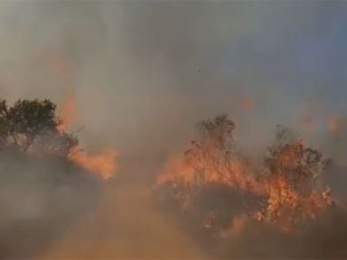Incêndio que levou fuligens para cidade de São Paulo destruiu 60% do Parque Juquery