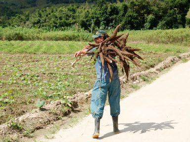 Bolsonaro veta ajuda para agricultores pobres