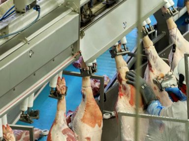 Preços da indústria de alimentos disparam