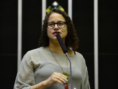 Luciana Santos conclama, no Dia da Independência, à defesa da democracia
