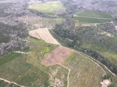 Ministério da Economia quer afrouxar licenciamento ambiental para “facilitar negócios”