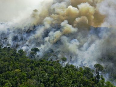 Bolsonaro é denunciado no Tribunal Penal Internacional por crime contra a Amazônia
