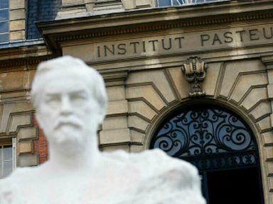 Estudo do Instituto Pasteur acha vírus similar ao da Covid e reforça origem natural da doença