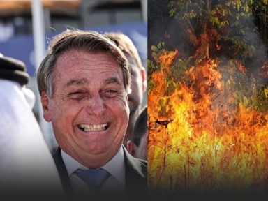 Quem está em 1.500 é a mentalidade tosca de Bolsonaro, não a floresta amazônica