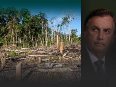 Bolsonaro escondeu destruição recorde de 13.235 Km² quadrados da Amazônia