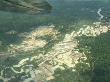 Empresa fornece ouro extraído de garimpos ilegais na Amazônia para a Casa da Moeda