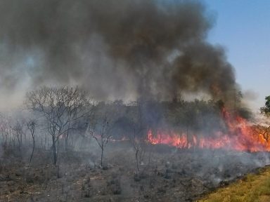 Bolsonaro quer apagar fogo da inflação com a gasolina do juro