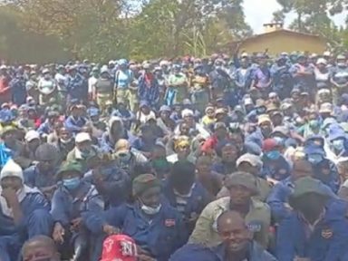 Quênia: trabalhadores da Del Monte em greve contra “condições de trabalho desumanas”