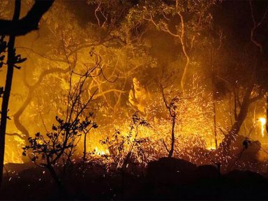Após ano recorde de desmatamento, governo corta R$ 17 milhões do combate a incêndios