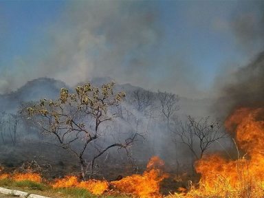 Governo oculta aumento no desmatamento do Cerrado e desmonta monitoramento do Inpe