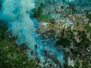 Desmatamento na Amazônia aumenta 56% e atinge patamar alarmante no governo Bolsonaro