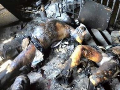 Nazistas ucranianos que queimaram vivos 42 manifestantes em Odessa seguem impunes