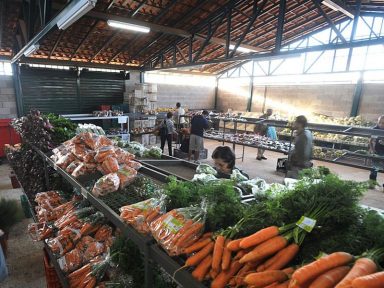 Nem cenoura dá mais para comer: alta de 121%