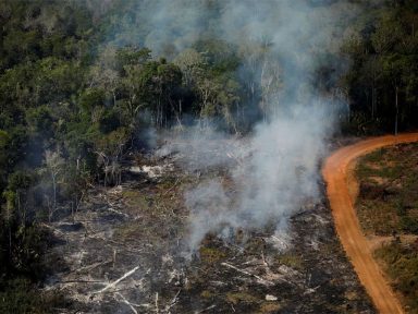 Brasil tem novo recorde de alertas de desmatamento no 1º trimestre de 2022, aponta Inpe
