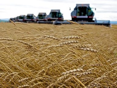 EUA atiça conflito Ucrânia/Rússia para especular com desabastecimento alimentar