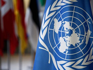 Doze entidades e ministro do STF expõem à ONU indulto afrontoso de Bolsonaro para Silveira