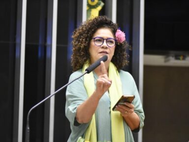 “Guerra de Bolsonaro com o TSE não é uma batalha de nossas Forças Armadas”, diz Perpétua