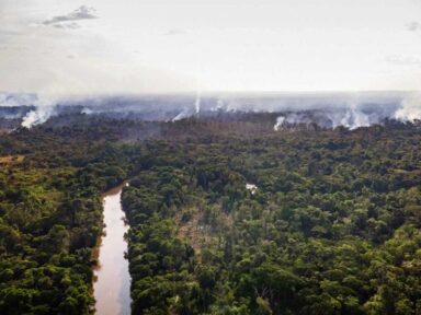Amazônia tem o maior número de focos de incêndio dos últimos 15 anos para o mês de junho