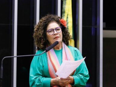 Perpétua: “não cabe às Forças Armadas debater urnas eletrônicas. O país tem instituições para isso”