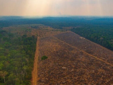 Amazônia Legal tem o maior desmatamento em 15 anos, aponta Imazon