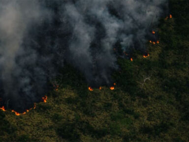 Dia do Fogo 2 – Amazônia registra maior média diária de queimadas do governo Bolsonaro