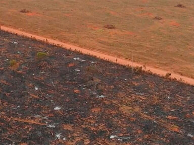 Governo do Mato Grosso fornece equipamentos para desmate ilegal de terra indígena Xavante