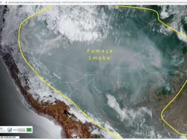 Fumaça das queimadas da Amazônia se estende por países da América do Sul