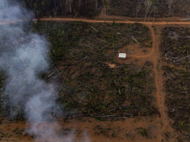 Alertas de desmatamento na Amazônia em setembro atingem maior índice da história: 1.455 km²